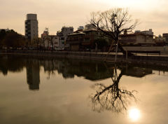 名古屋城のお堀