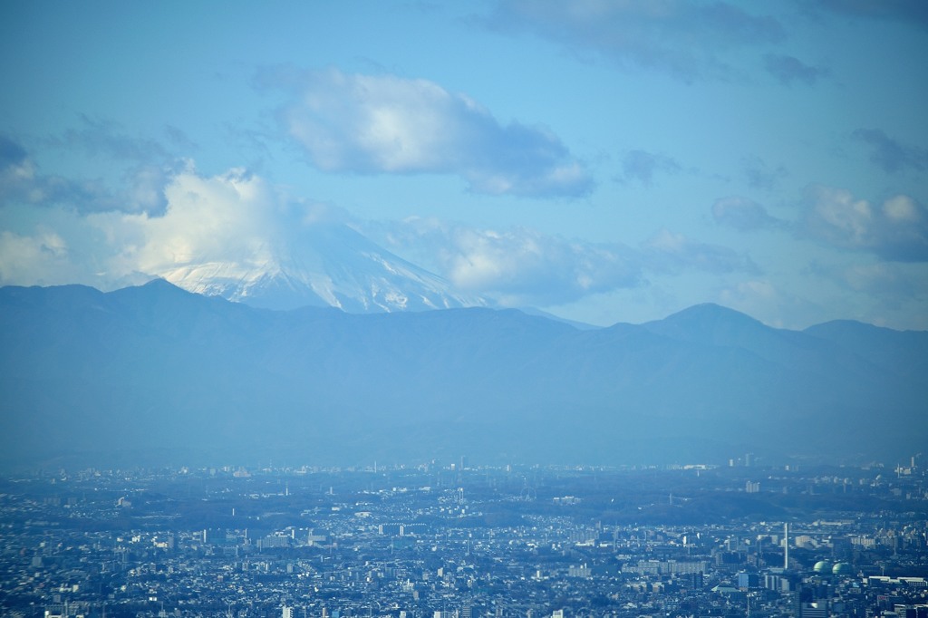 富士山