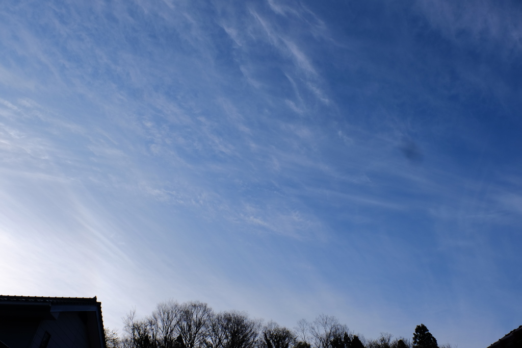 2015_04110007  青空