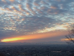 阪神・淡路大震災から20年