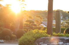 夕日