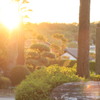 夕日