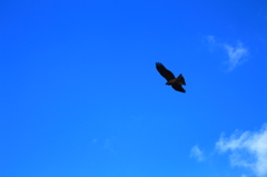 青空