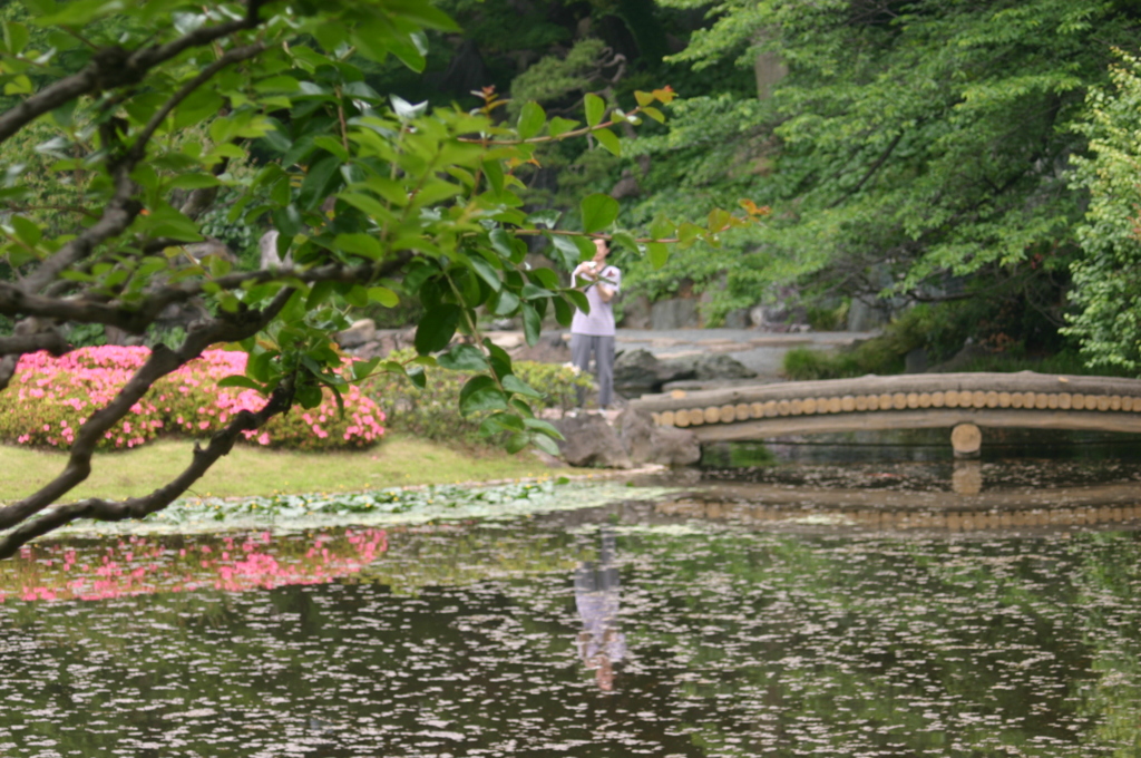 水面に映るものは