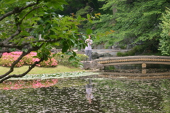 水面に映るものは
