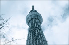 空木