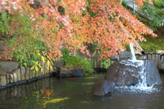 長谷寺の池