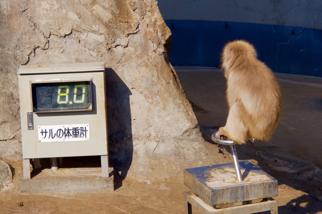 【2017.02.01】恩賜上野動物園