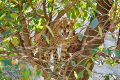 【2017.10.10】多摩動物公園