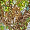 多摩動物公園