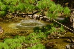 水