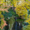 晩秋の薬師池公園　＃１４