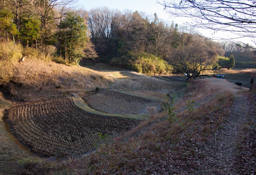 里山の風景　＃１７