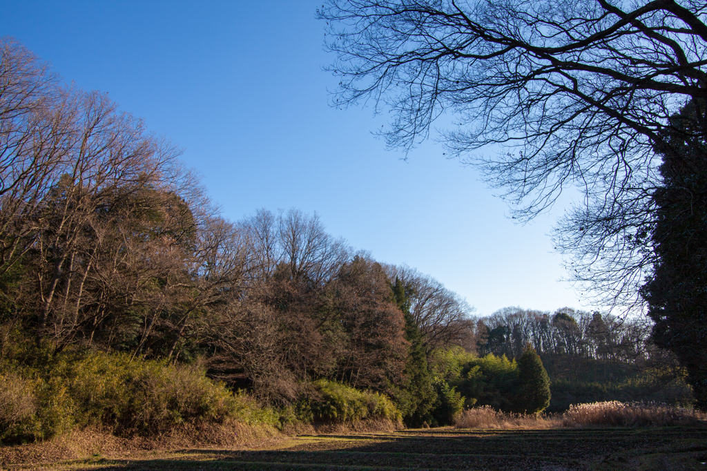 里山の風景　＃１５
