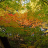 横浜　三渓園にて　＃１２