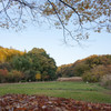 晩秋の座間谷戸山公園　#5