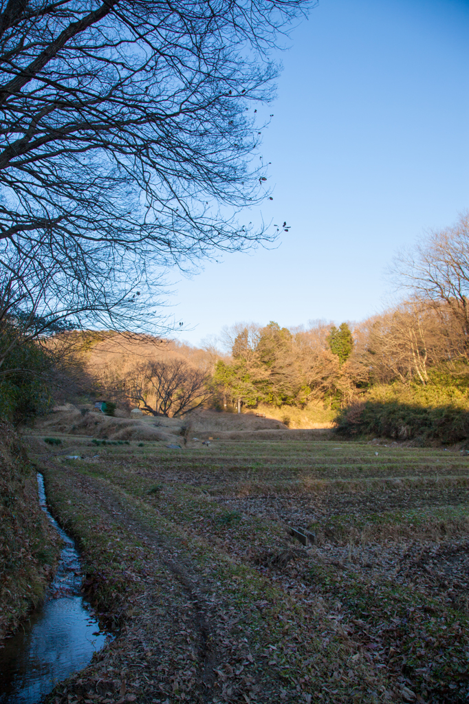 里山の風景　＃１８