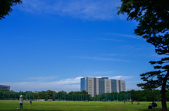 或る日の情景