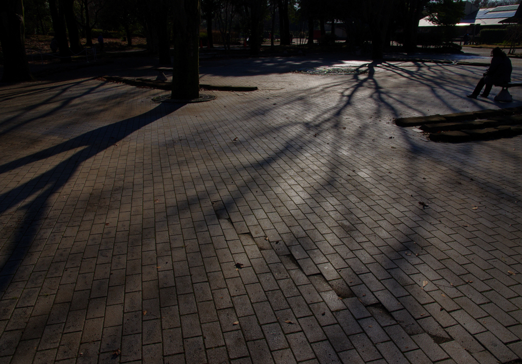 冬の公園
