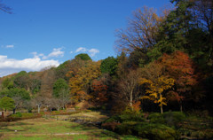 晩秋の薬師池公園　＃１０