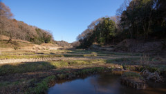 里山の風景　＃１