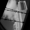街散歩　＃８