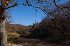 里山の風景　＃６