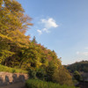 晩秋の座間谷戸山公園　#4