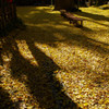 晩秋の薬師池公園　＃１３