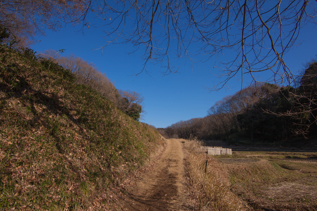 里山の風景　＃４