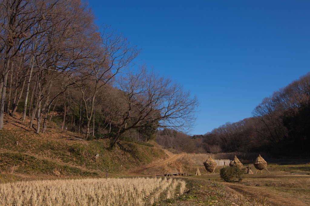 里山の風景　＃２