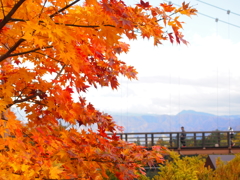 駒ヶ根高原