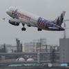 HK express