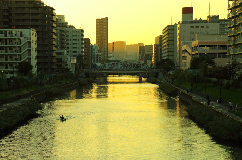 煌めきの中で