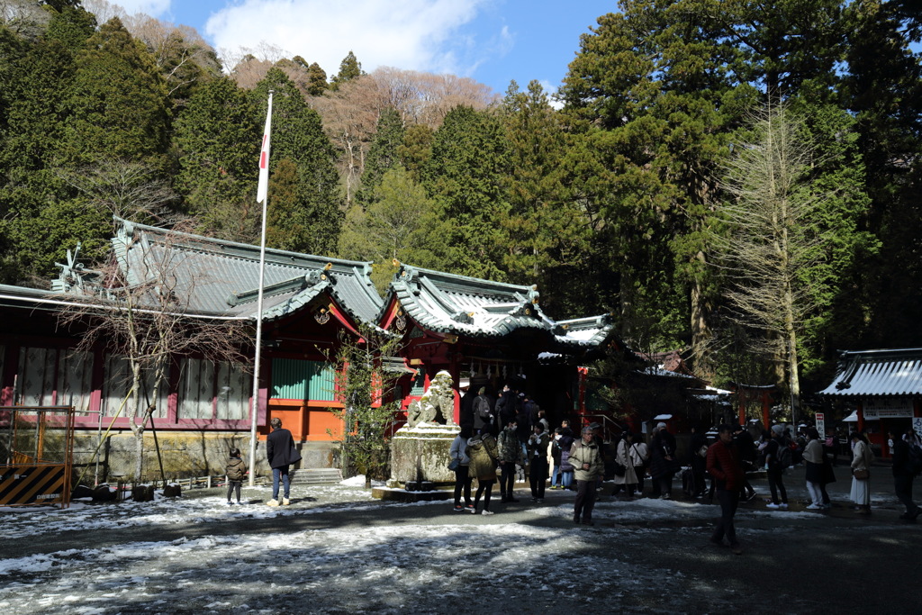 箱根の賑わい