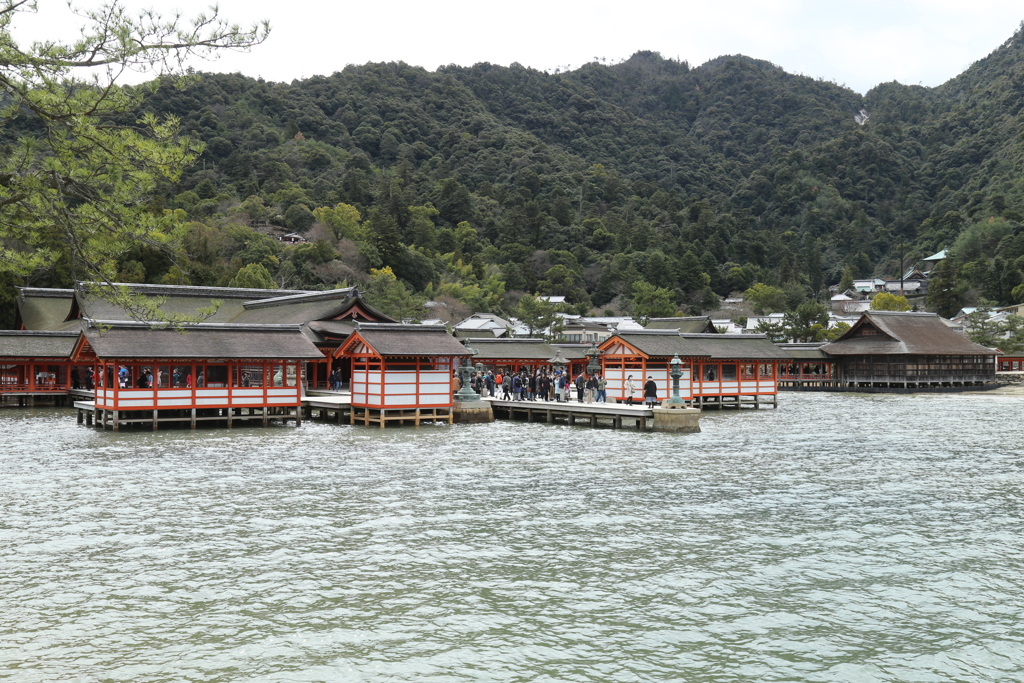 そうだ、宮島へ行こう！！