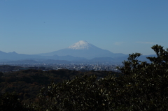 日本美