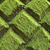 moss wall