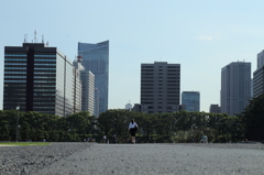 都会の散歩道