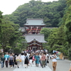 七夕の杜