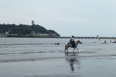 江ノ島だもん、馬くらい居るよね……馬！？