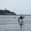 江ノ島だもん、馬くらい居るよね……馬！？