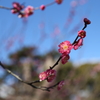 春の目醒め