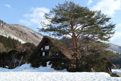 春の気配