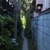 近道裏道