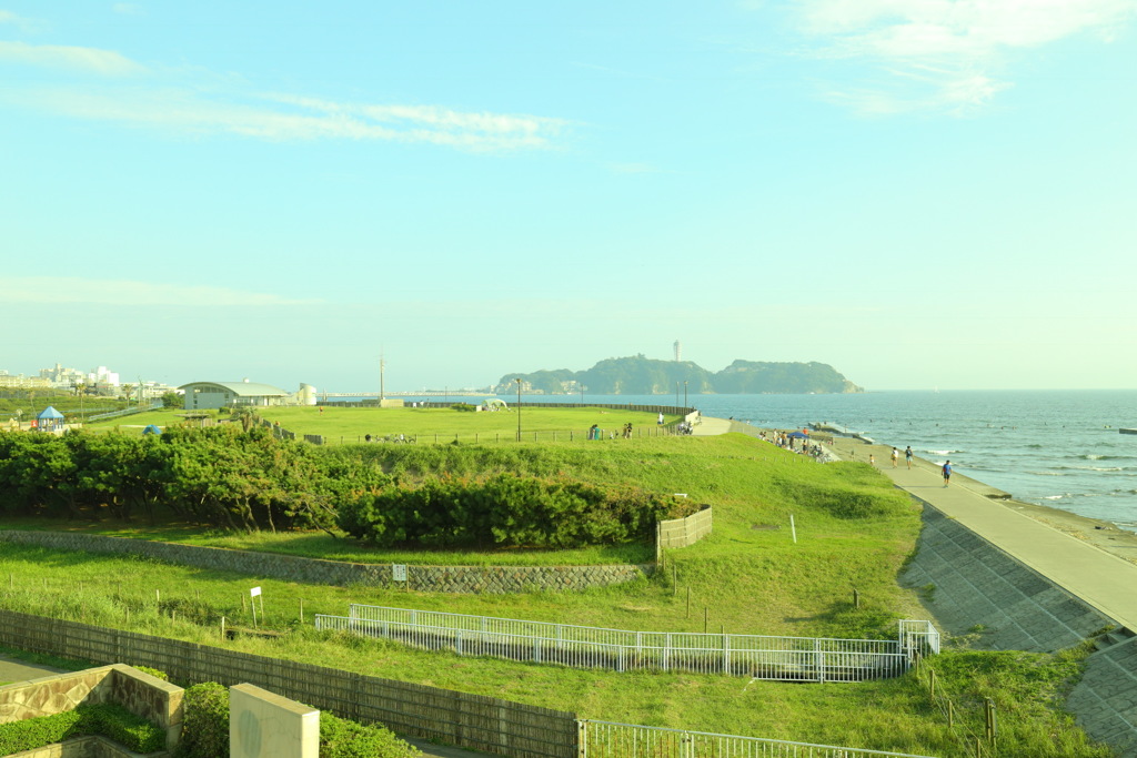 My landscape