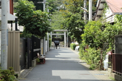 駆ける