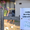ご不在です