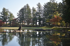 毛越寺の朝