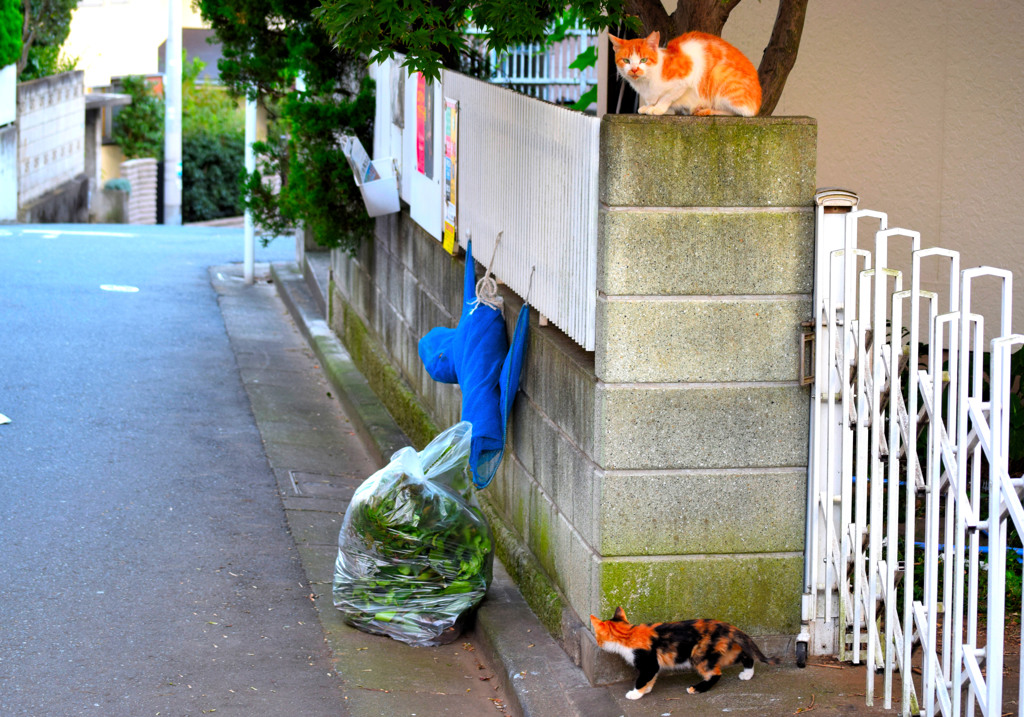 って、そっちやないで！！